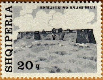 Domestic Goat (Capra hircus)