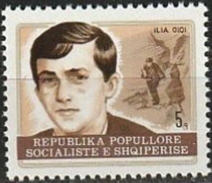 Orange Tip (Anthocharis cardamines)