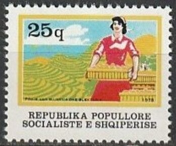 Arabian Horse (Equus ferus caballus)