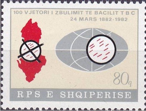 Flower Vase, by Hasan Reci