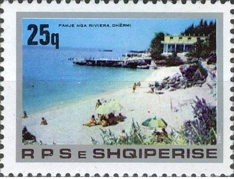 Carnation (Dianthus caryophyllus)