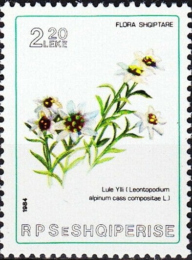 Montreal Olympic Games Emblem and Water Polo