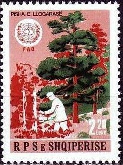 Androniqi Zengo Antoniu (1913-2000)