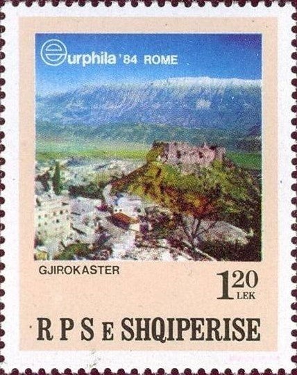 Domestic Cat (Felis silvestris catus)