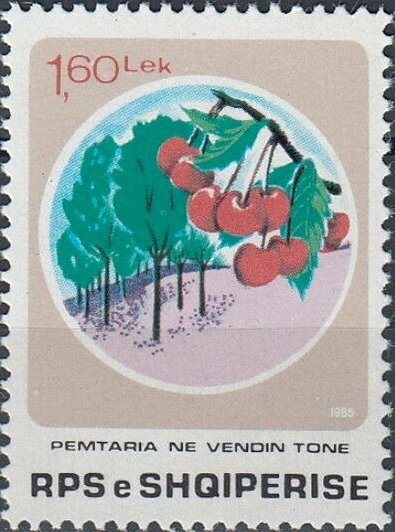 Traditional Embroidery