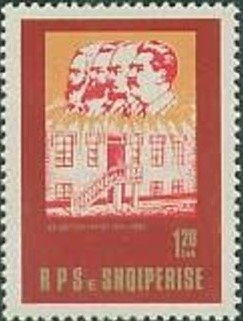 Borage (Borago officinalis)