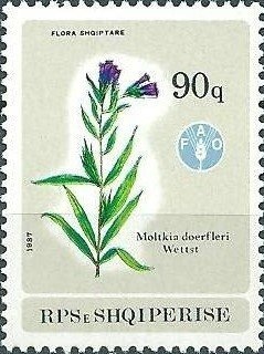 Visit of President George W. Bush to Albania