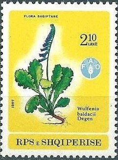 Goalkeeper, Map of France