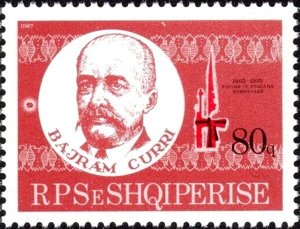 Nonius Horse (Equus ferus caballus)