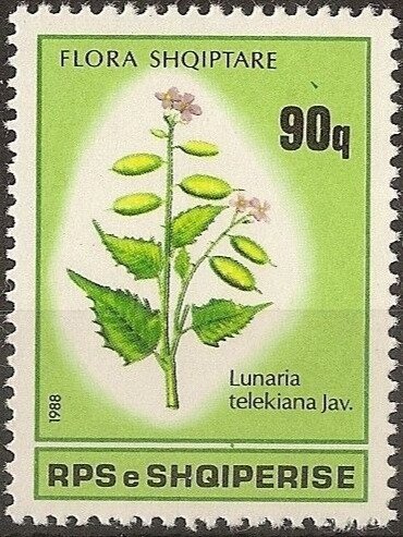 Bua family (15th-16th cent.)