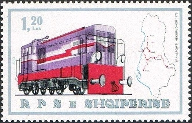 Dalmatian Pelican (Pelecanus crispus)