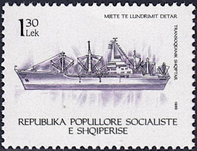 Common Kestrel (Falco tinnunculus)