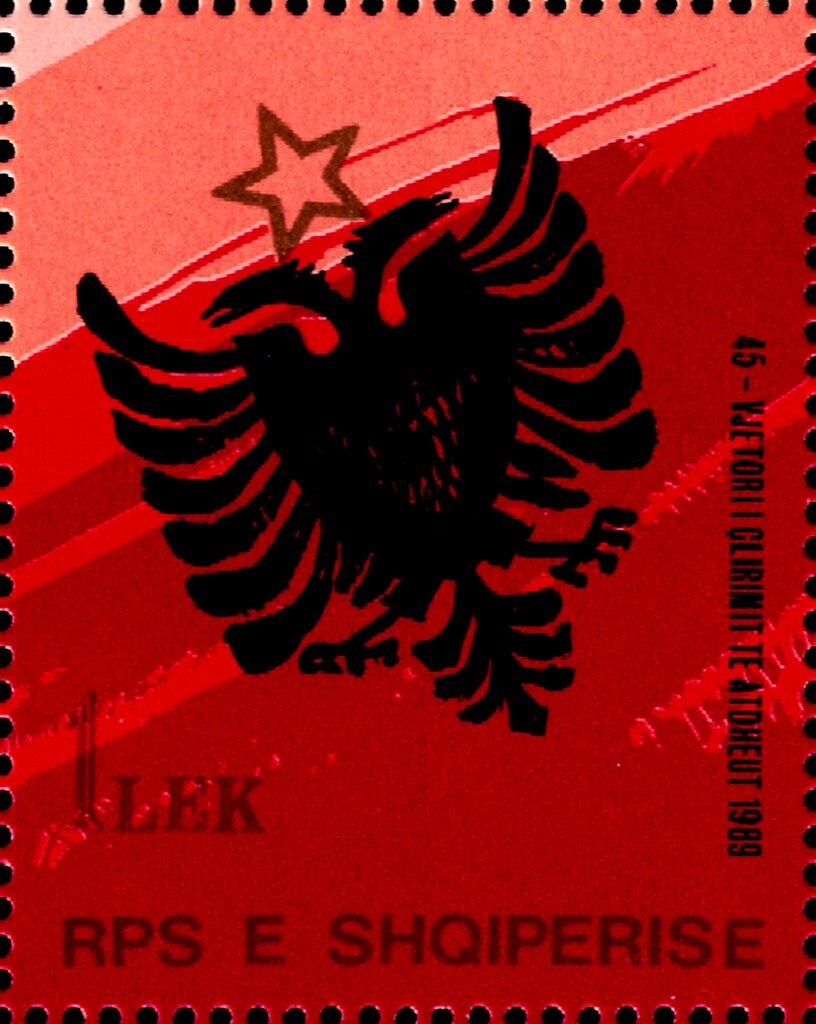 Horse (Equus ferus caballus)