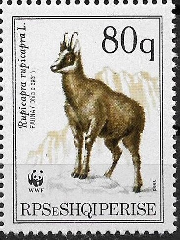 Jorgjia Filçe-Truja (1907-1994), soprano and film director