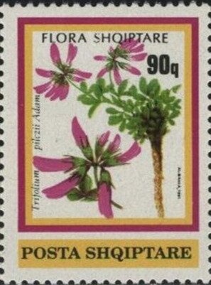 R34 (R33-class airship) over New York (6 July 1919)