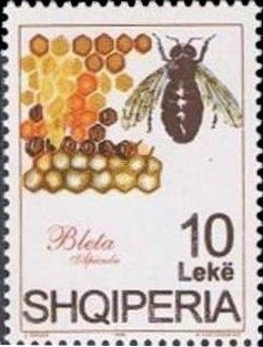 Omar Khayyam (1048-1131), Persian poet, philosopher, scholar