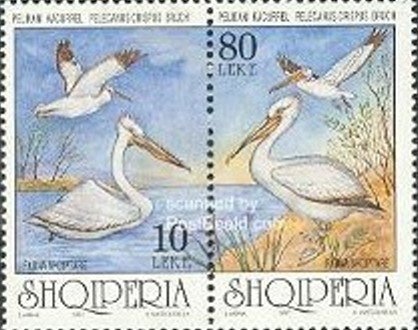 Mahir Domi (1915-200), Albanian linguist and professor