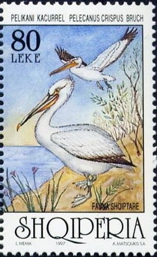 Globe in form of Soccer ball