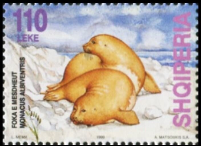 European Football Championships 2008, Austria & Switzerland