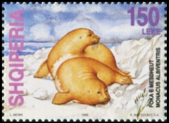 Dogfish and Electric Ray (Torpedo torpedo)