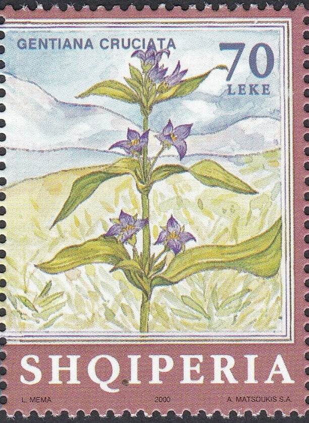 Stylized football player