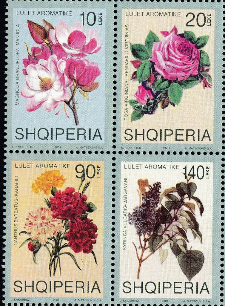 50th Anniversary of United Nations