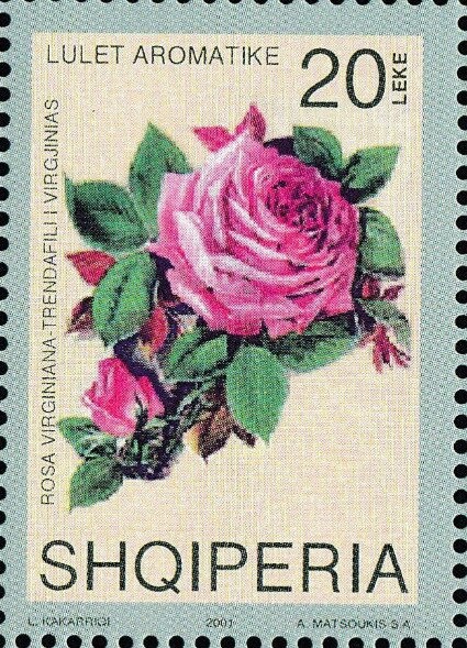 Ferid Murad (Physiology or Medicine Nobel Prize, 1988)