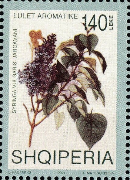 Alia lying wounded, from the folktale "Gjergj Elez Alia"