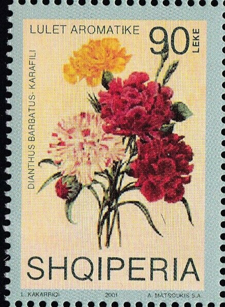 ‭Young Workers and Track