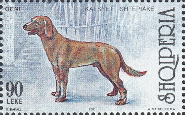 Colored circle, by Damien Hirst