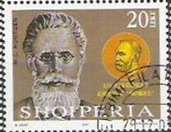 Horned Viper (Vipera ammodytes)