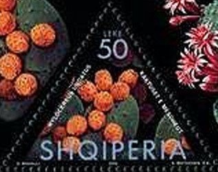 Statue of Mother Albania