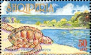 ‭Locomotive, Map Showing Rail Network, 1985