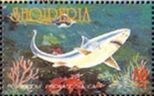 Ancient Coins of Albania