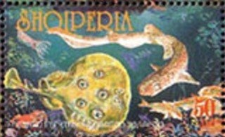 Coat of Arms with Background of Red Wavy Lines