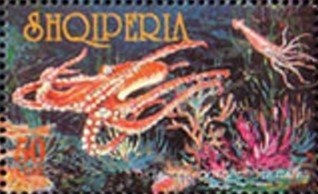 League Headquarters, Prizren