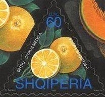 Omar Khayyam (1048-1131), Persian poet, philosopher, scholar