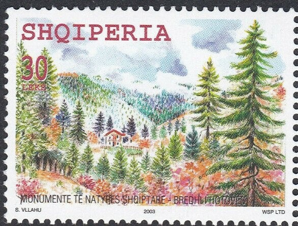 The Battle of Tenda e Qypit, by Fatmir Haxhiu