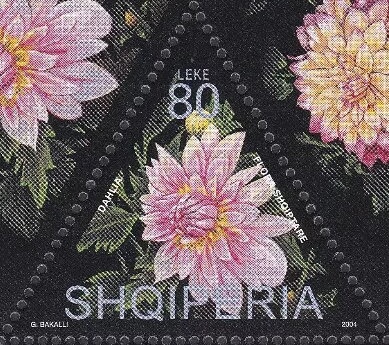 Prince William (1876-1945), ‭appointed ruler of Albania