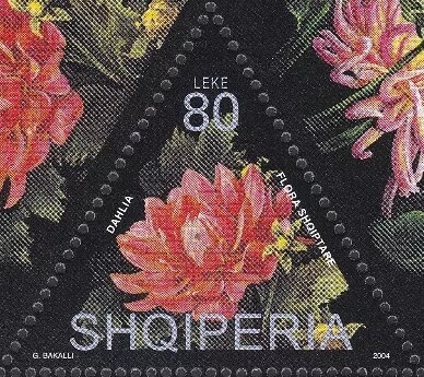 Open Tobacco Box and Cigarette Tip