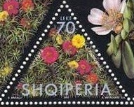 Pink Panther, wearing uniform