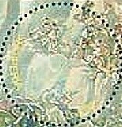 Eider Duck (Somateria mollissima)