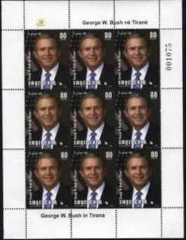 Japanese camellia (Camellia japonica)