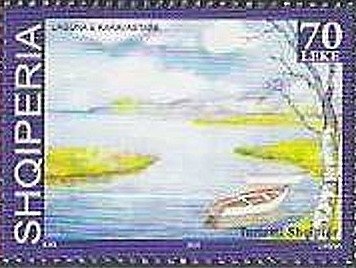 Great Yellow Gentian (Gentiana lutea)