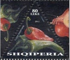 Quemal Stafa (1920-1942), ‭anti-Fascist fighter