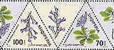 Gate (Parchment Miniature), 11th Century