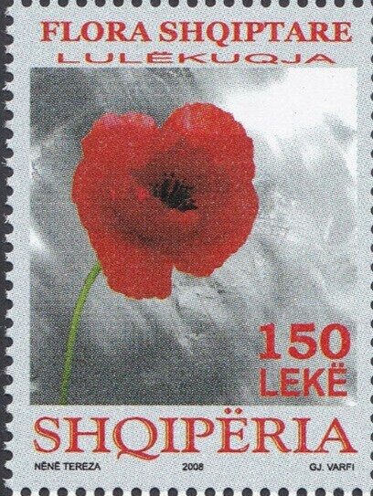 Fortress at Shkodër