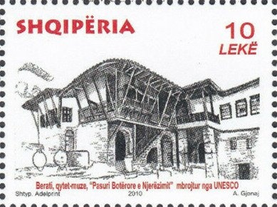 Mediteranean Monk Seal (Monachus albiventris)