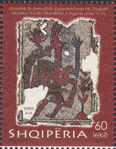 Parasol Mushroom (Macrolepiota procera)