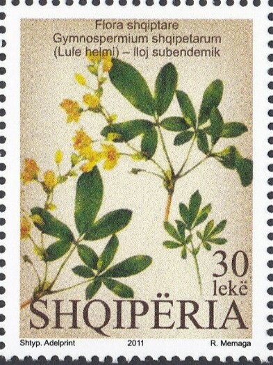 Peregrine Falcon (Falco peregrinus), Ruddy Turnstone (u)